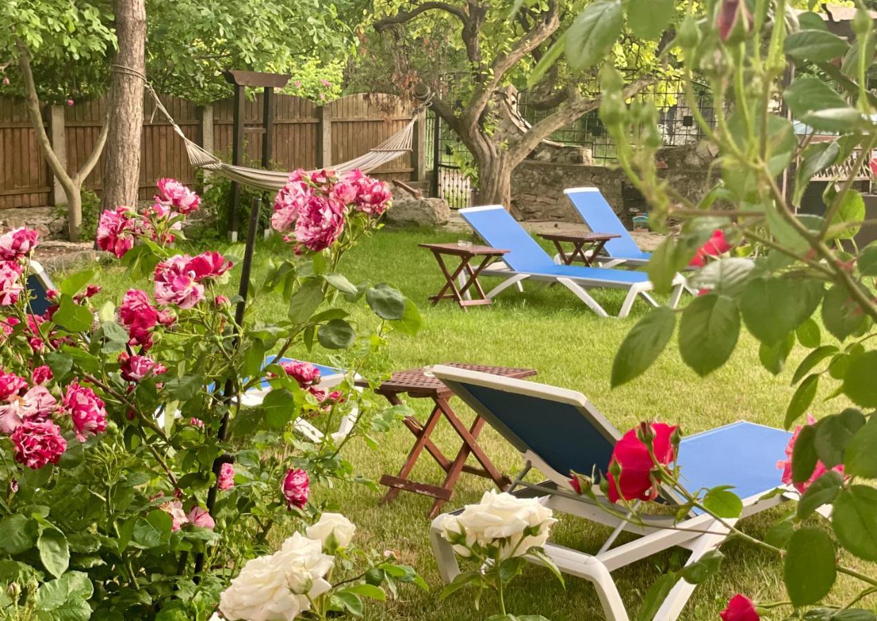 Vamabel House Bed and Breakfast Vama Veche Εξωτερικό φωτογραφία