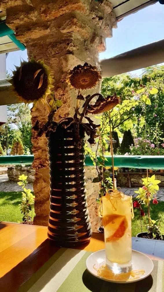 Vamabel House Bed and Breakfast Vama Veche Εξωτερικό φωτογραφία