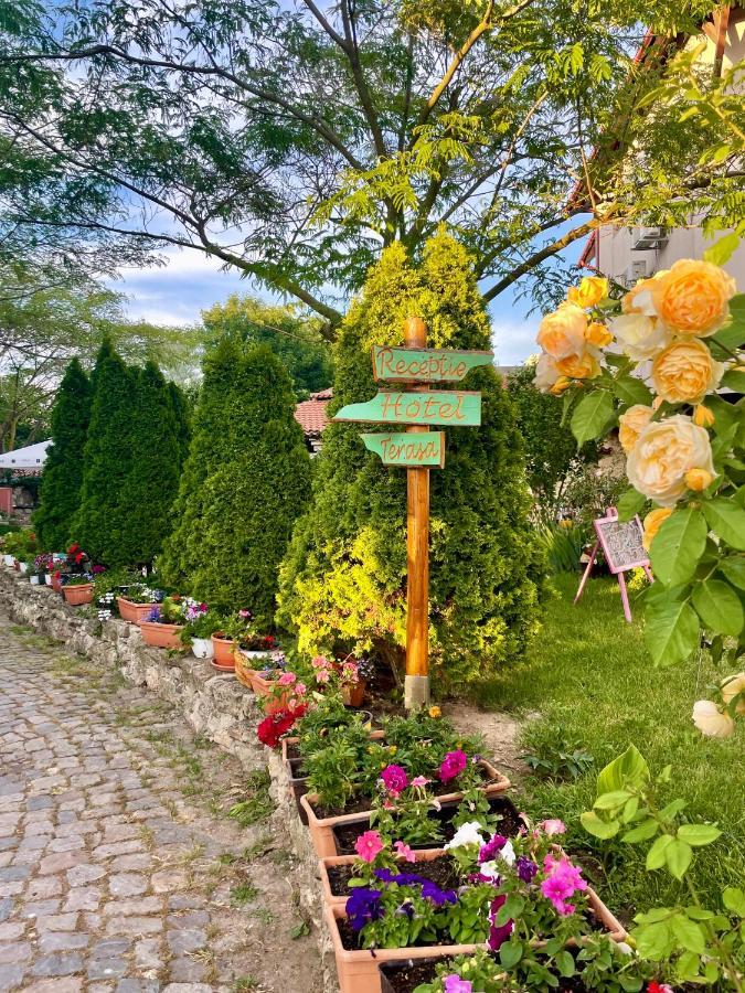 Vamabel House Bed and Breakfast Vama Veche Εξωτερικό φωτογραφία