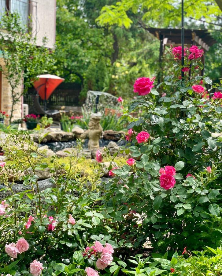 Vamabel House Bed and Breakfast Vama Veche Εξωτερικό φωτογραφία