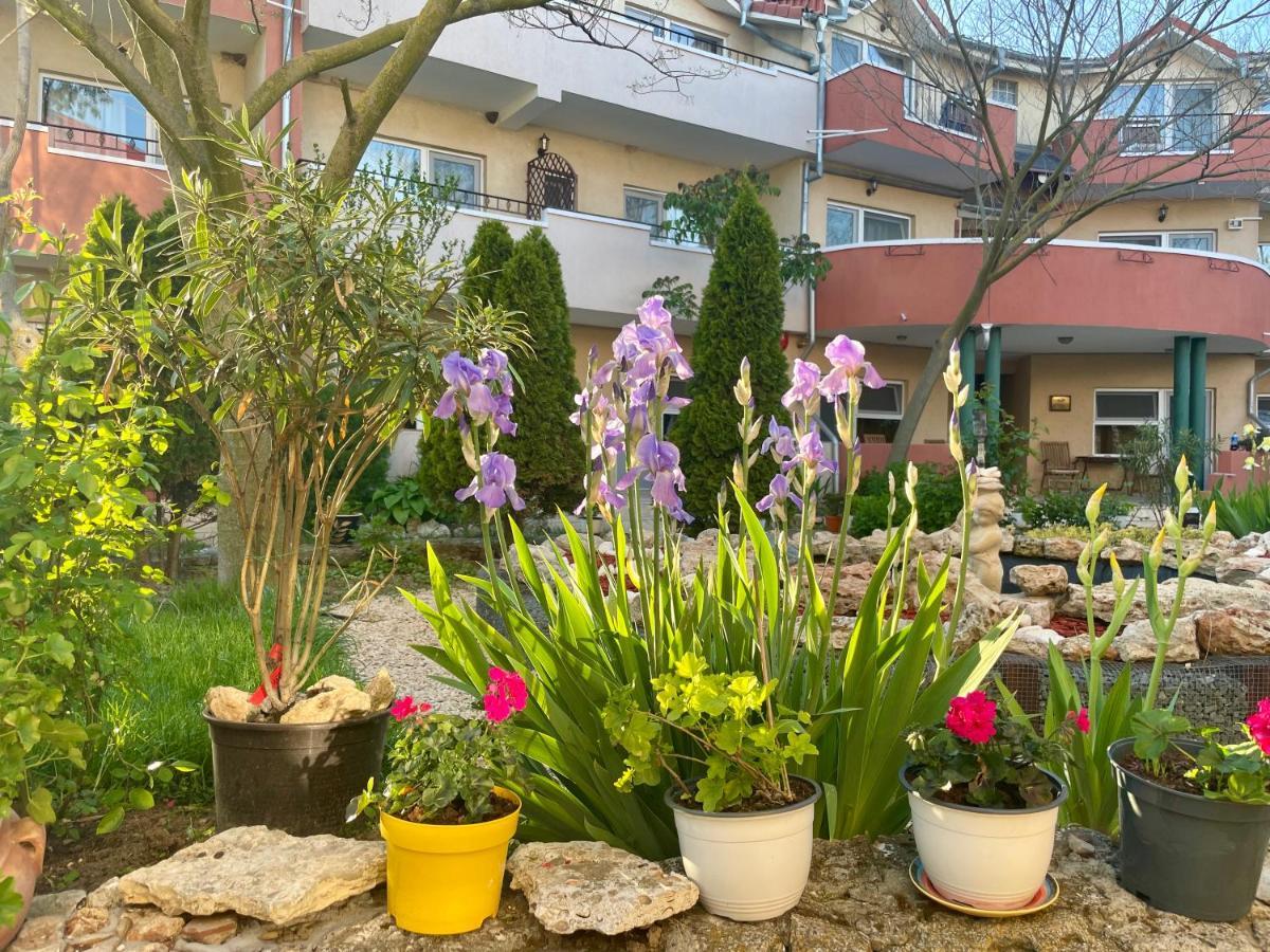 Vamabel House Bed and Breakfast Vama Veche Εξωτερικό φωτογραφία
