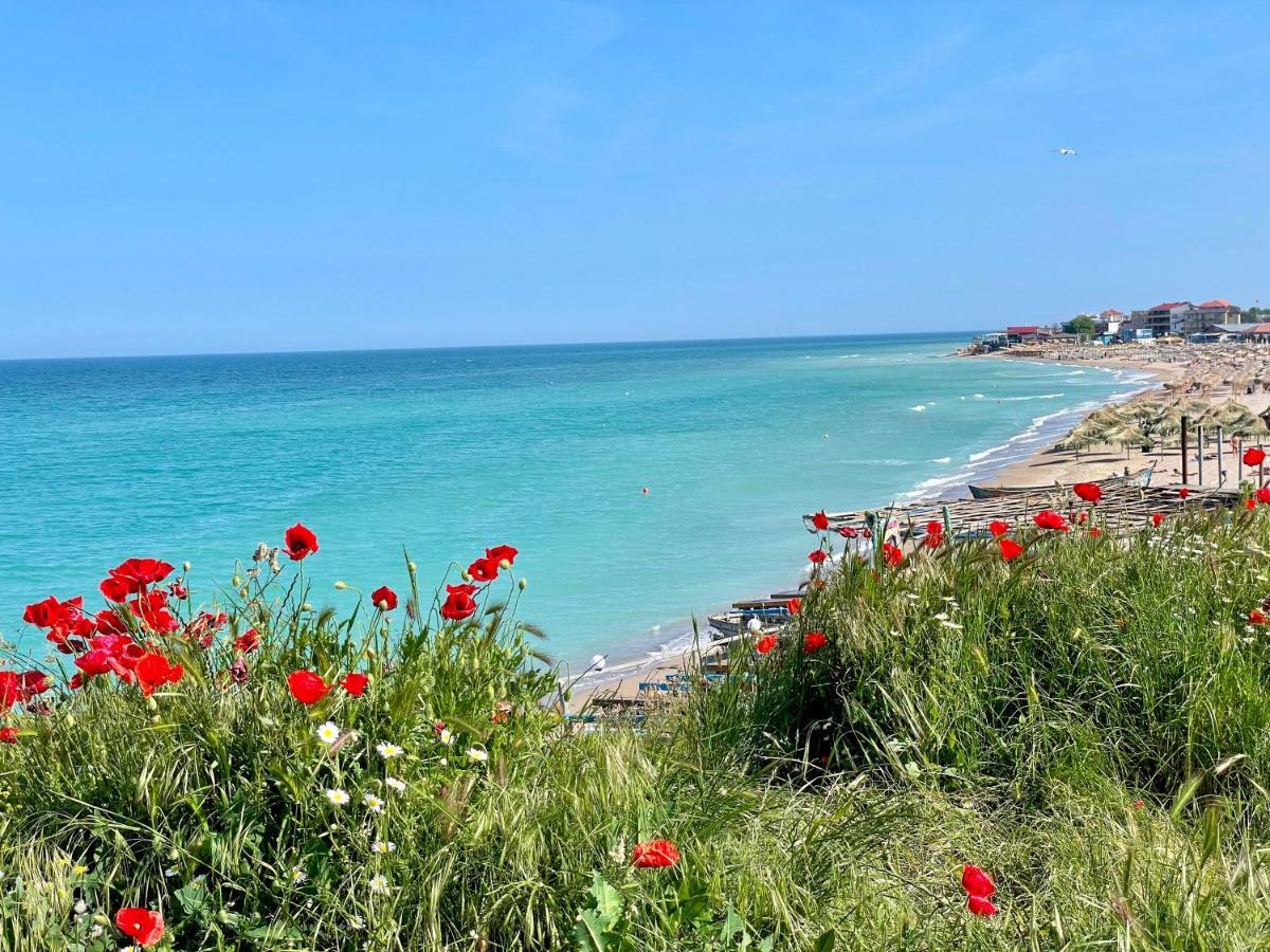 Vamabel House Bed and Breakfast Vama Veche Εξωτερικό φωτογραφία